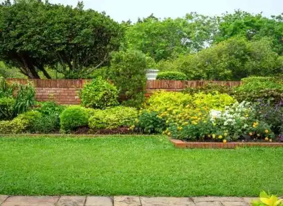 landscaping services Robinwood